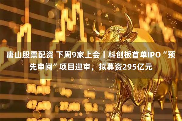 唐山股票配资 下周9家上会丨科创板首单IPO“预先审阅”项目迎审，拟募资295亿元